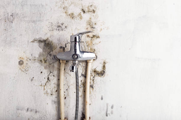 Best Mold Testing  in Shell Lake, WI