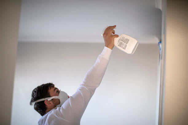 Water Damage Restoration in Shell Lake, WI