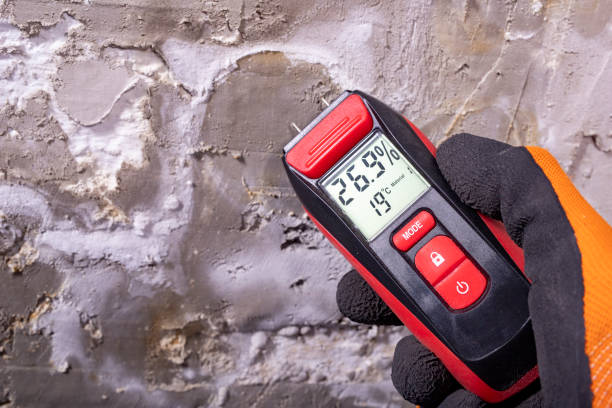 Attic Mold Removal in Shell Lake, WI