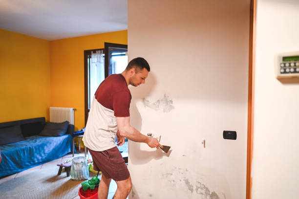 Best Affordable Mold Removal  in Shell Lake, WI