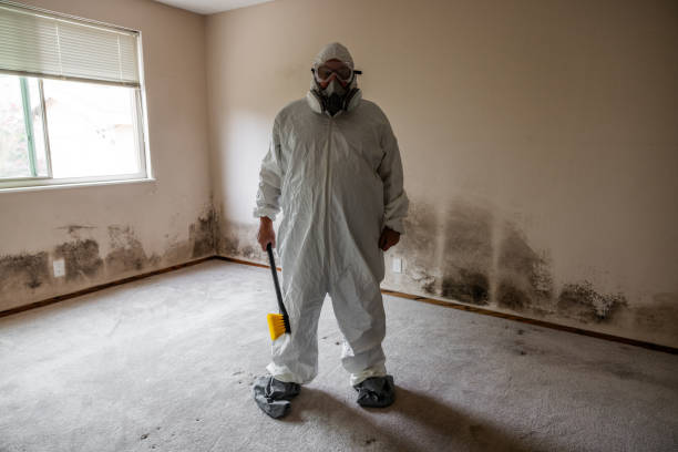Best Certified Mold Removal  in Shell Lake, WI
